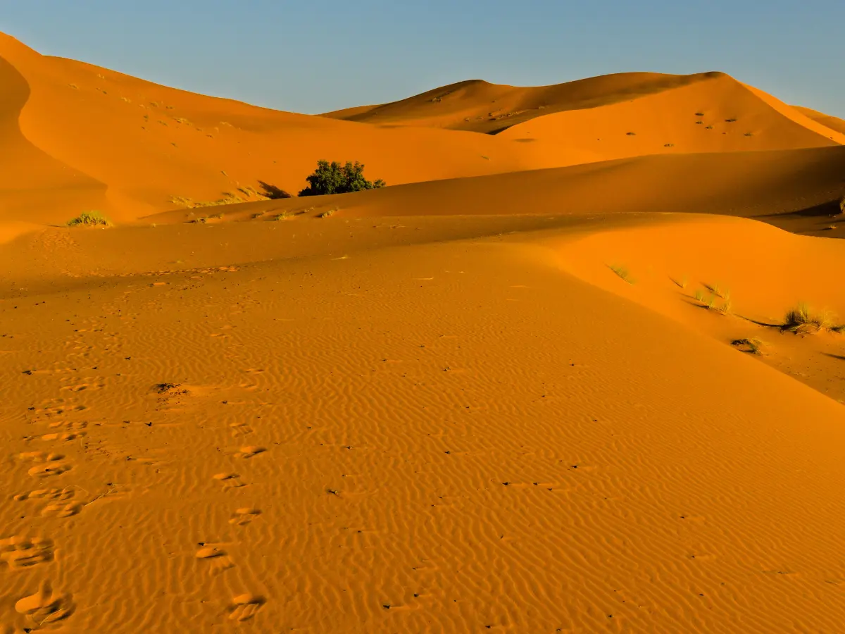 Morocco Destination Highlights Sahara Desert 1200x900
