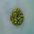 Thailand StatsIcon Islands 120x120